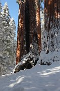 IMG_0164