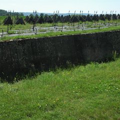 N1107134