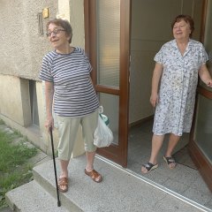 We dropped mom off at her friends Olina&#39;s house so that they can chat while dad, Larry, Sammy and I go to the museum.