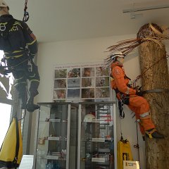 P1020451