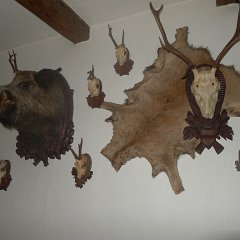 P1020550