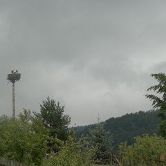 P1020489