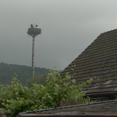 P1020492