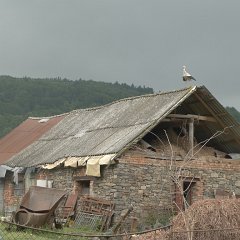 P1020498