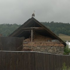 P1020503