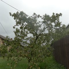 P1020506
