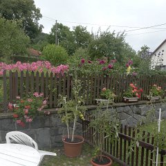 P1020510