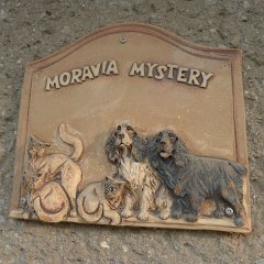 My best friend from highschool is a loving professional breeder of cocker spaniels and british cats (whatever they are). She is living her dream :-) http://www.moraviamystery.com