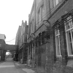 P1020210