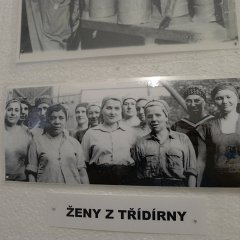 P1020278