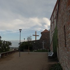 P1020666