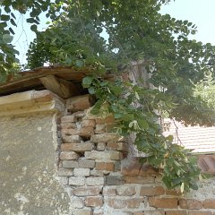 P1020816