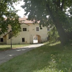 P1020847