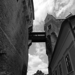 P1020878