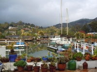 DSCN1768