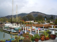 DSCN1769