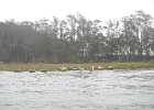 DSCN0511