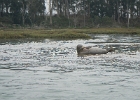 DSCN0512