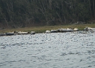 DSCN0515