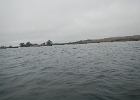 DSCN0517