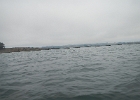 DSCN0519