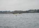 DSCN0522