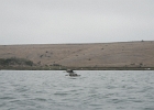DSCN0523
