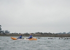 DSCN0524