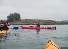 DSCN0529