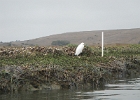 DSCN0531