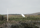 DSCN0533
