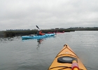 DSCN0535