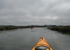 DSCN0536