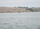 DSCN0537