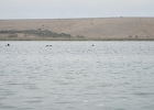 DSCN0538