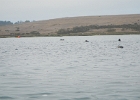 DSCN0539