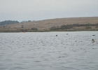 DSCN0540