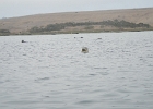 DSCN0541