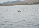 DSCN0543