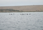 DSCN0544