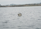 DSCN0545