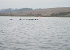 DSCN0547