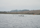 DSCN0548