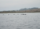 DSCN0549