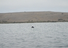 DSCN0551