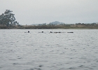 DSCN0552
