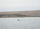 DSCN0553