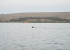 DSCN0554