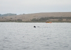 DSCN0555