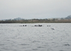 DSCN0556